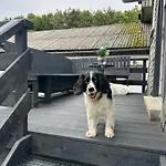 Pistenblick * Willingen (Upland)