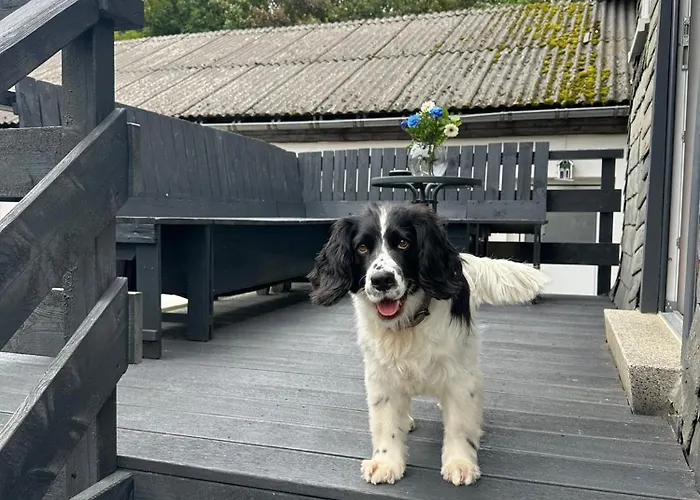 Pistenblick * Willingen (Upland)